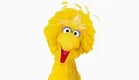 Big Bird - Sesame Workshop